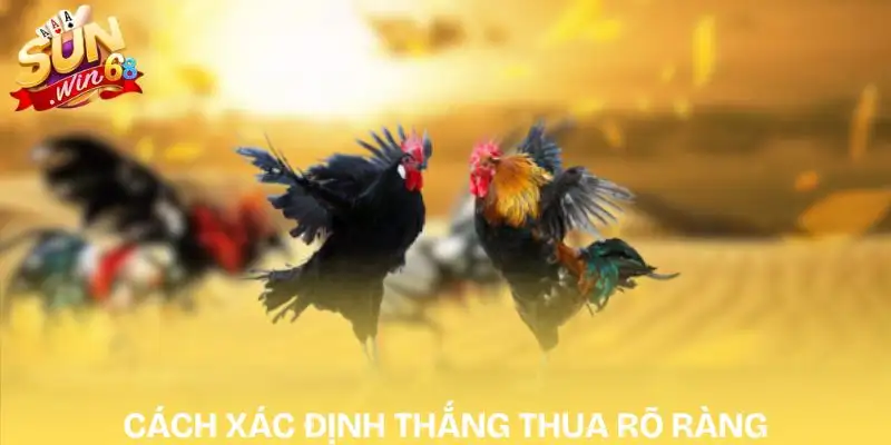 Những Khó Khăn Khi Tìm Hiểu Cách Chơi Đá Gà Online Năm 2026 2 cach-choi-da-ga-online-cach-phan-dinh-thang-thua