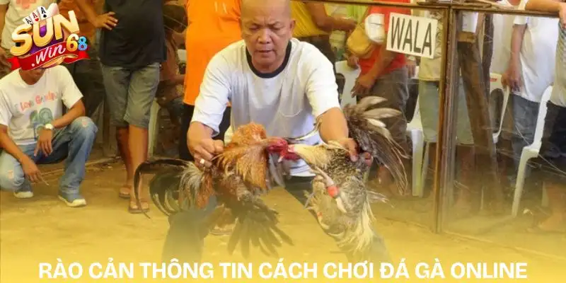 Những Khó Khăn Khi Tìm Hiểu Cách Chơi Đá Gà Online Năm 2026 1 cach-choi-da-ga-online-rao-can-thong-tin