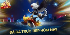 da-ga-truc-tiep-hom-nay